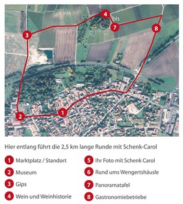 Plan Schenk Carol