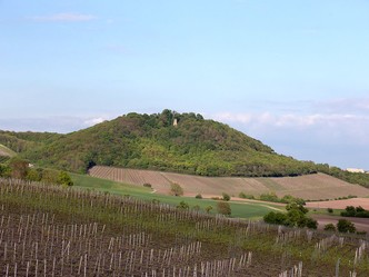 Ruine Speckfeld