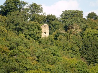 Ruine Speckfeld